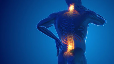 Yokoami Orthopedic Clinic 사진 3