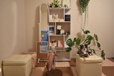 女性ホルモン✕自律神経ケア専門サロン S&H Beauty Design 사진 2