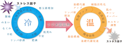 Kumagaishinkyu Orthopedic Clinic 사진 4