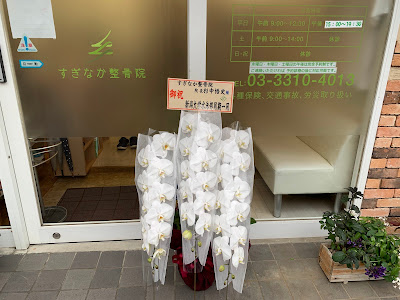 Suginaka Acupuncture 사진 4