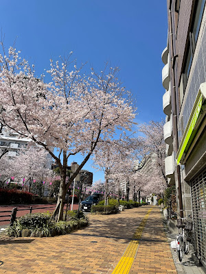 Harimazaka Pharmacy 사진 4