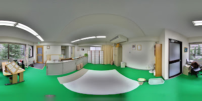 しんそう療方 사진 4