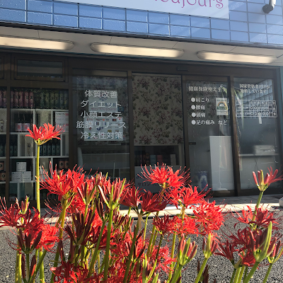 Ajisai Orthopedic Clinic 사진 3