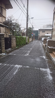 くまちゃん’ず 사진 2