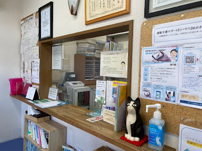 Ueda Orthopedic Clinic 사진 4