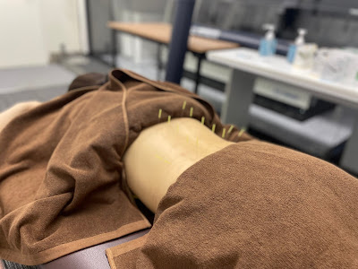 Shiinamachi Kitaguchi Acupuncture Orthopedic Clinic 사진 4