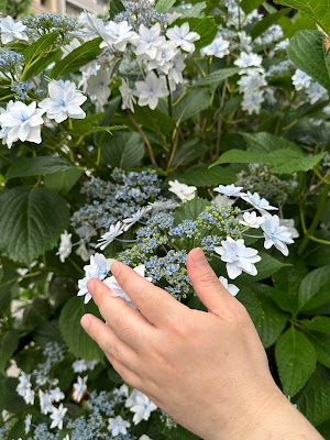 鍼灸あん摩院やじろべえ 本駒込 사진 2
