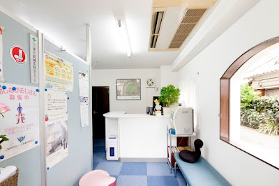 Sendagishinkyu Acupuncture 사진 3