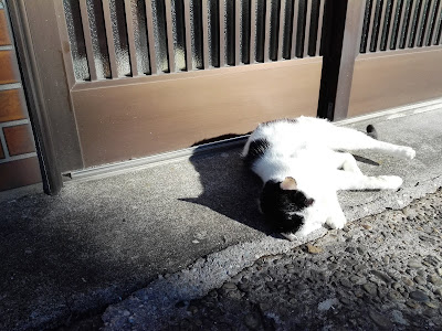 谷中ほぐしの森 사진 4