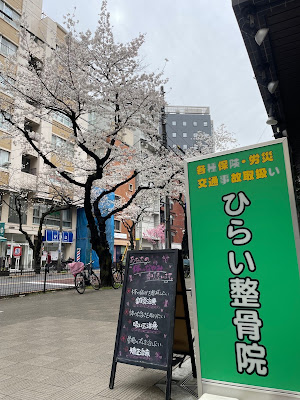 Hiraiharikyuseikotsuin 사진 4