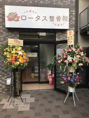 Lotus Orthopedic Clinic 사진 2