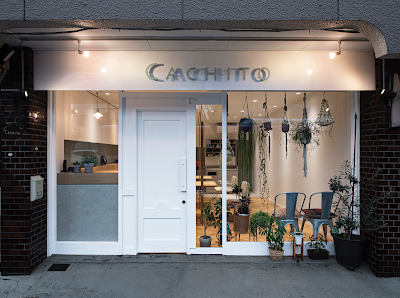 cachito 사진 4