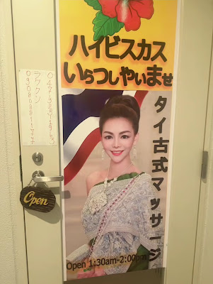 ハイビスカス 사진 2