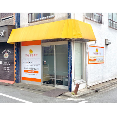 かみさぎ整骨院 사진 2