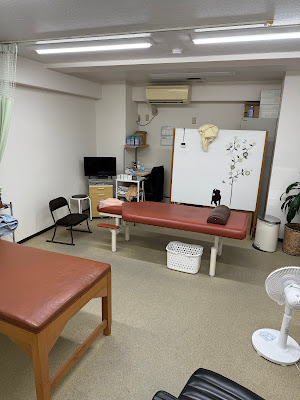 Hasumi Massage Acupuncture 사진 4