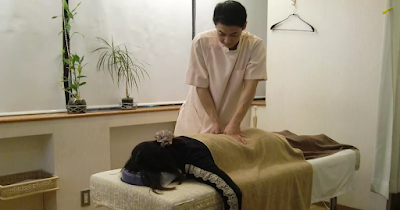 癒しの森指圧鍼灸院 사진 4