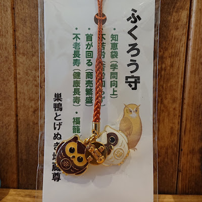 Fukuro Orthopedic Clinic 사진 5