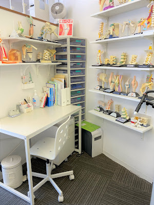 Nozomi Orthopedic Clinic 사진 4