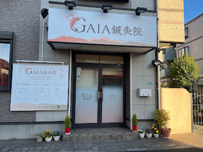GAIA Acupuncture 사진 3