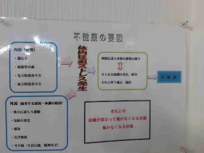 Umezaki Bonesetting House 사진 4