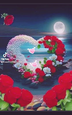 Ashi Tsubo Massage Ransoigaimu Itabashi Kitaku / Takinogawa / Feisharu / Este Thai Massage 사진 2