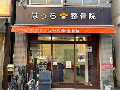 Hatchino Acupuncture 사진 2