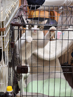 まつなが鍼灸接骨院 사진 2