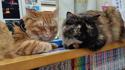 まつなが鍼灸接骨院 사진 5