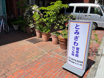 とみざわ整骨院・はり灸院 사진 2
