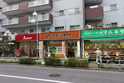 Kamiitabashikitaguchi Orthopedic Clinic 사진 5