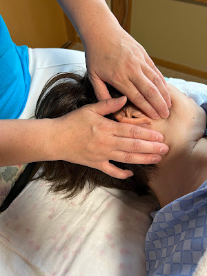 高津式（腱・筋療法 改）腱筋膜リリース法 健生 사진 3