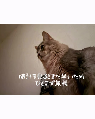 Ohisamado Shinkyu Clinic 사진 3