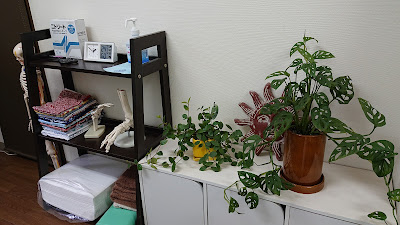 あやせ自律整体院EFFORT〜エフォート〜 사진 3