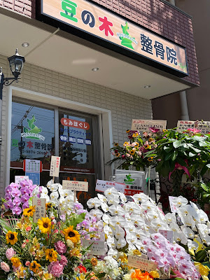 Kanamachi Mamenoki Orthopedic Clinic 사진 4
