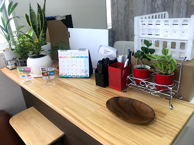 Jun Orthopedic Clinic 사진 2