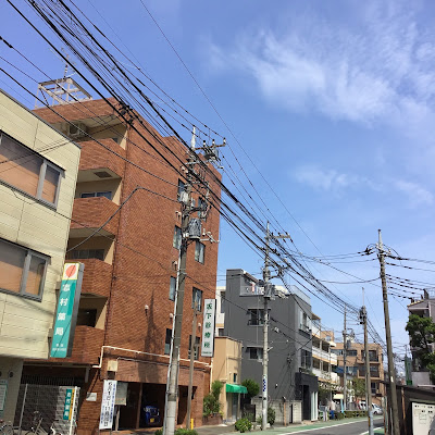 Sakashita Orthopedic Clinic 사진 3