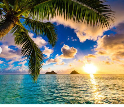 鍼灸あんまマッサージ治療院moana 사진 4