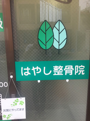 Hayashi Osteopathic Clinic 사진 5