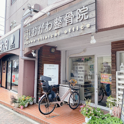 Ogawa Orthopedic Clinic 사진 5