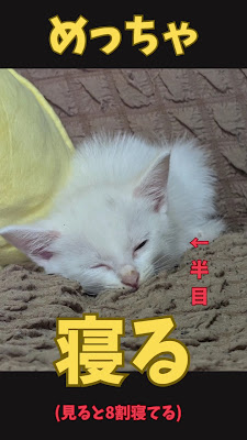 Momohana Orthopedic Clinic 사진 3