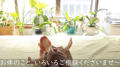 マッサージはりきゅう院らく 사진 2