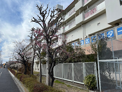 Adachiku Shimanejuku Center 사진 2