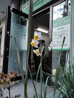 MATSUDO腰痛肩こりケアセンター 사진 5