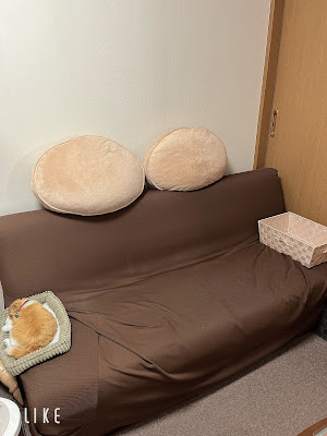 晴リセット整体院 사진 3