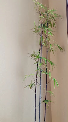 指圧マッサージ一休 사진 2