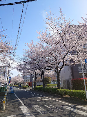 Gen Clinic 사진 3