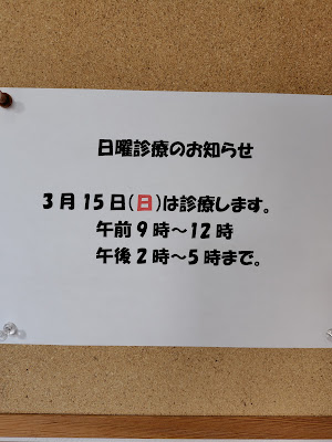 Ichigo Orthopedic Clinic 사진 2