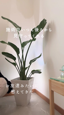 salon TEATE ボディケア＆オイルリンパトリートメント 사진 2