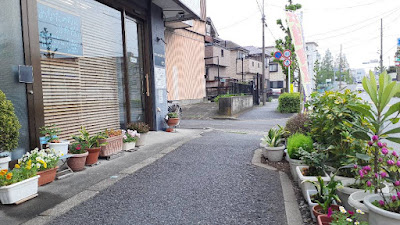 Yamanoishinkyu Acupuncture 사진 4