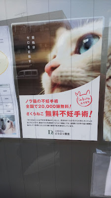 Minion Animal Clinic 사진 5
